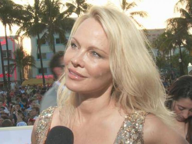 pamela anderson