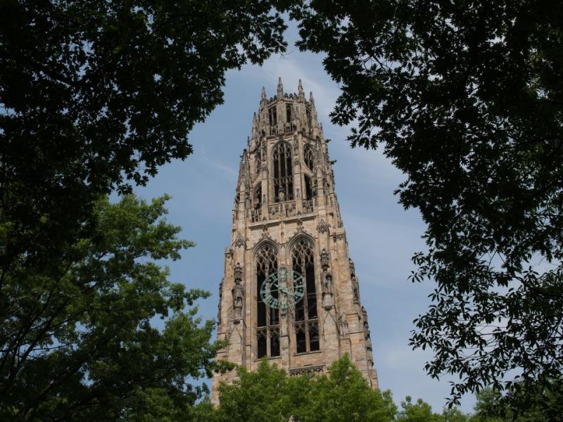 yale university