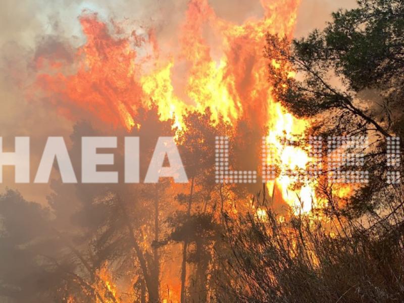 φωτια ηλεια