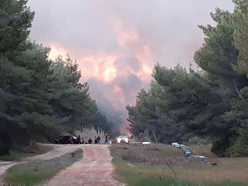 Εικόνα: patrisnews.com / Τάσος Μυλωνόπουλος