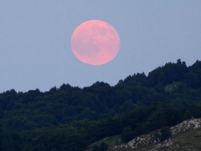 Ροζ Φεγγάρι