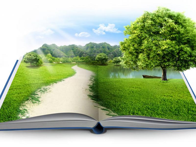 Περιβαλλοντική Εκπαίδευση