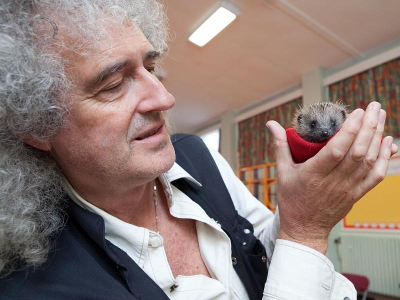 brian may