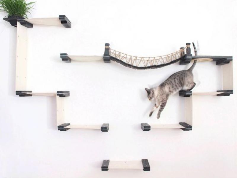 "Παιδότοπος" για γάτες