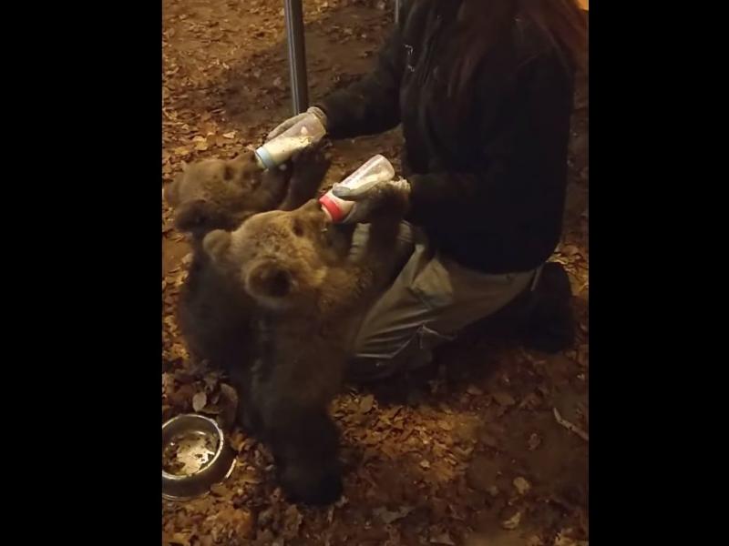 Μπράντλεϊ Κούπερ