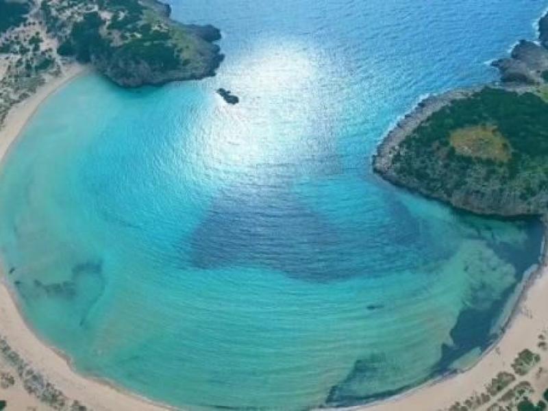 Βοϊδοκοιλιά