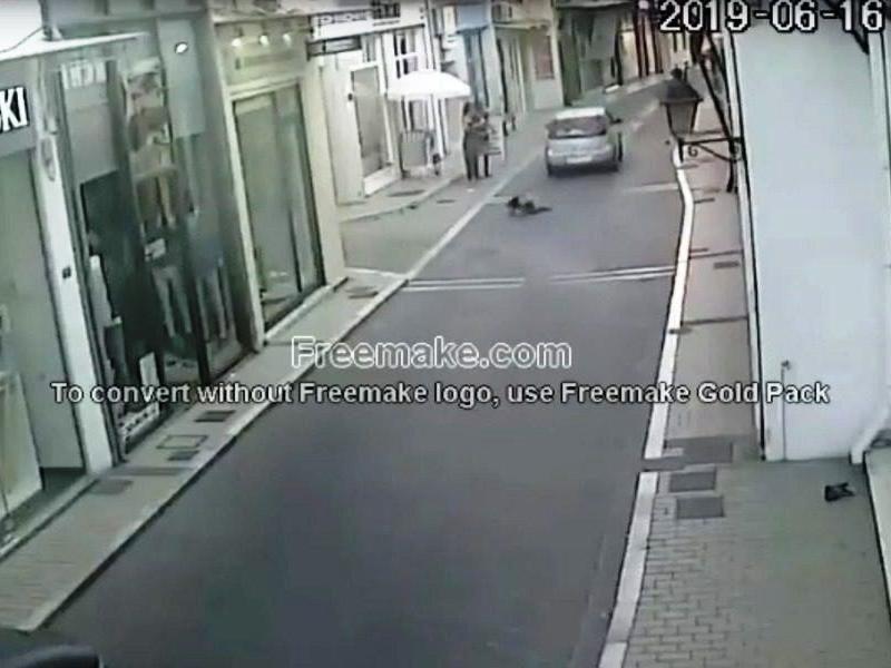 σκυλος μυτιληνη