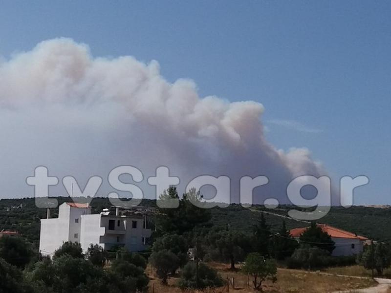 φωτια ευβοια