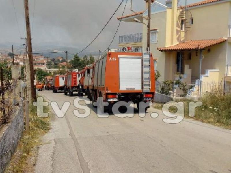 Φωτιά στην Εύβοια