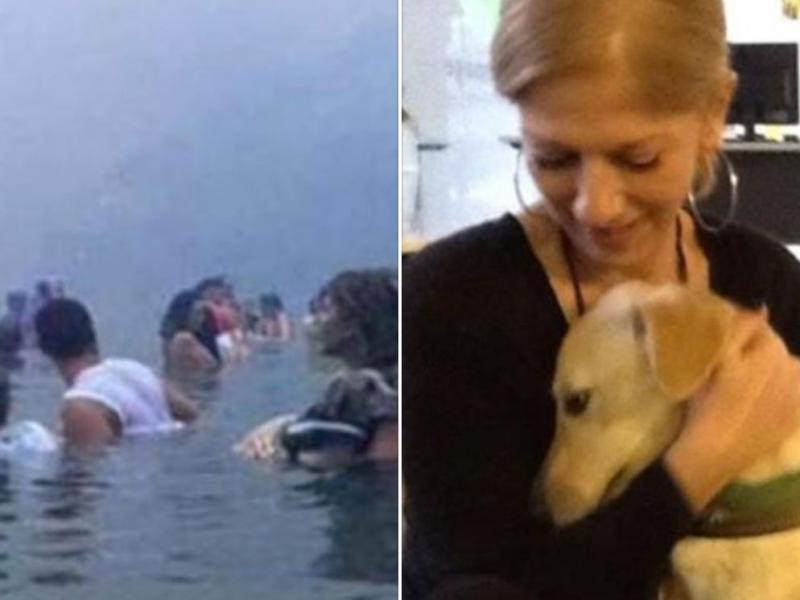 Μάτι ανάρτηση