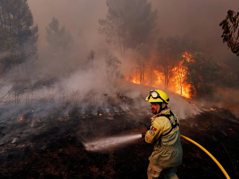porugal fires