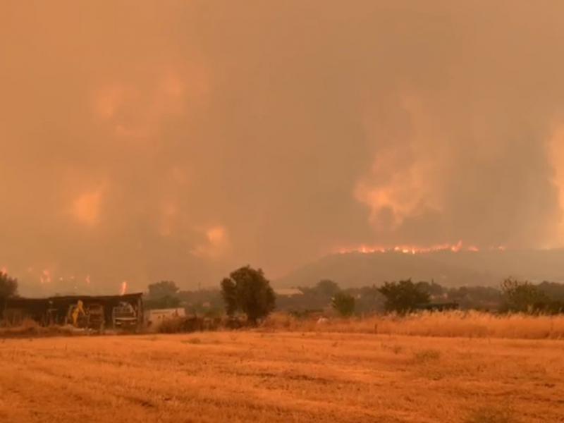 video fotia euvia psaxna