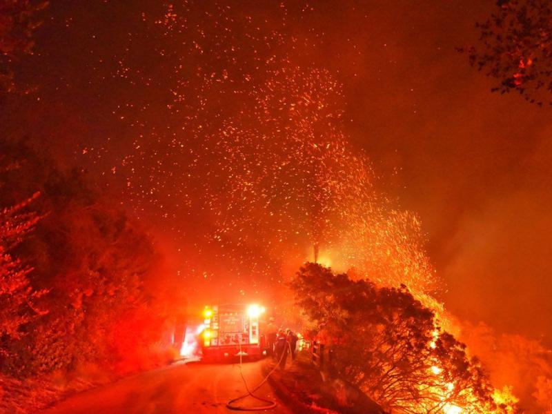 california fotia simera