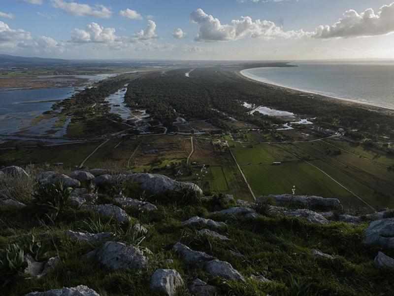 strofylia lathrothires