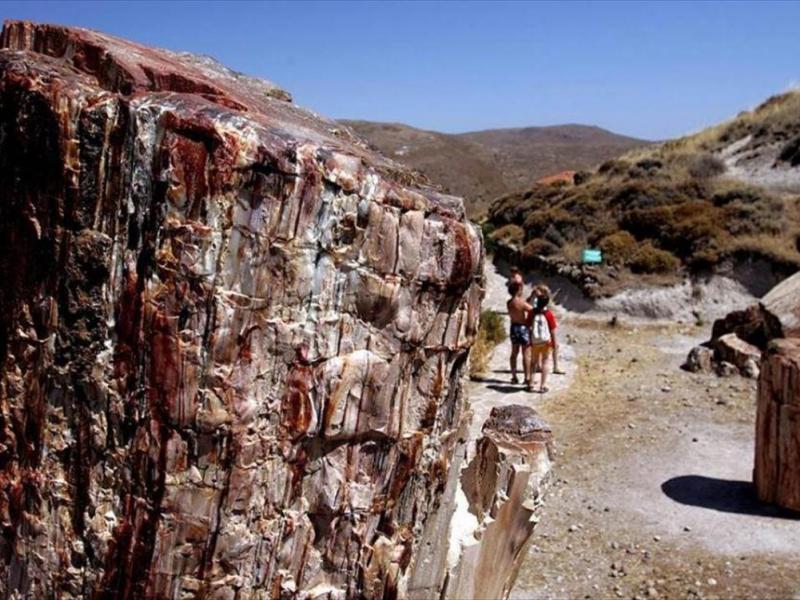 lesvos apolithomena dentra
