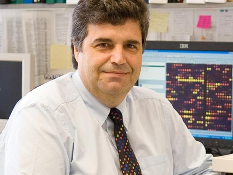 Dimitris Kafetzopoulos ite