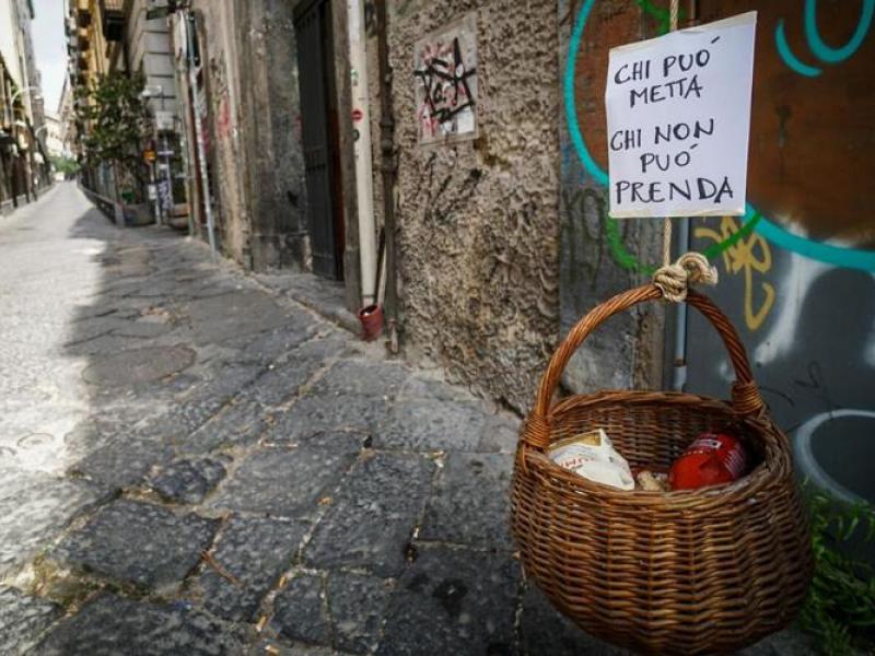 kalathia allileggiis