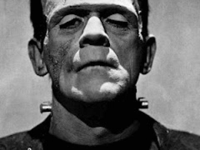 bride-of-frankenstein-boris-karloff-1935.jpg