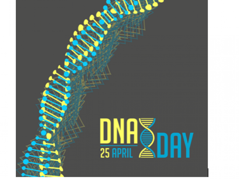 dna.png