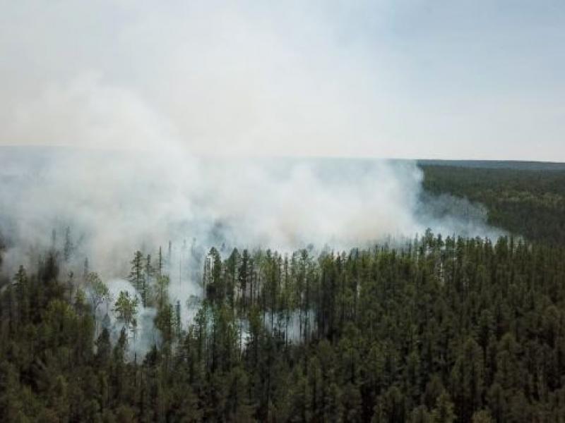 2020-07-10t120922z_1519466228_rc2cqh9y7tmf_rtrmadp_5_russia-fires-siberia_med.jpg