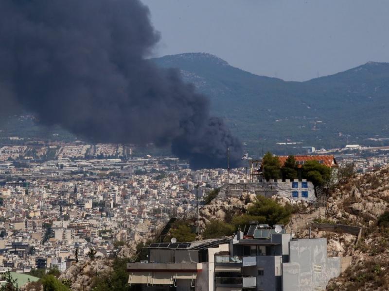 pyrkagia metamorfosi