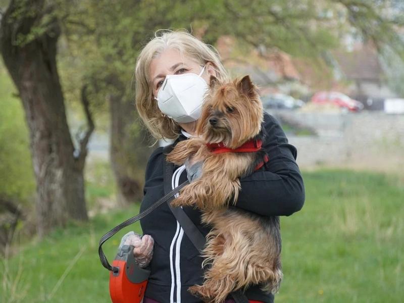 Μάσκα σκύλος κορονοϊός