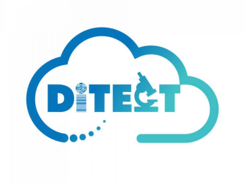 logo_ditect.png