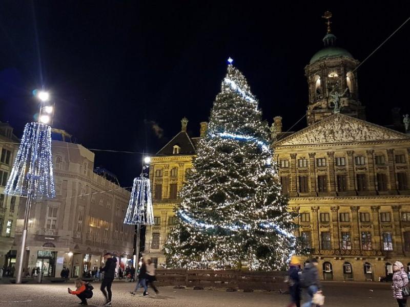 lockdonw ollandia efesi