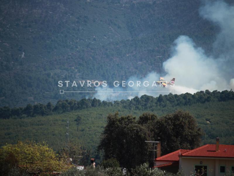 fotia xiliomodi kentriki