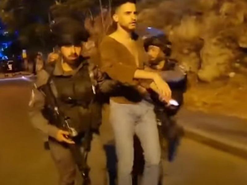 exosi syggrafea palaistini