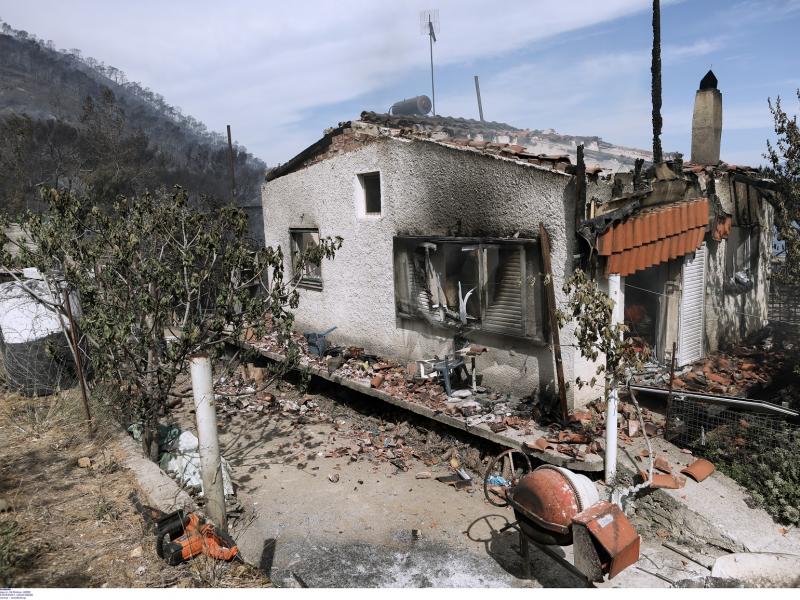 Φωτιά στον Σχίνο