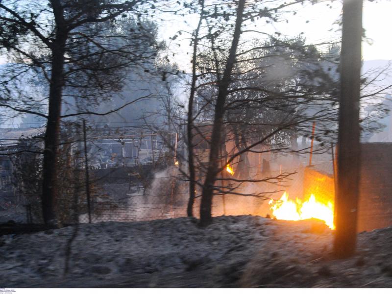 Φωτιά στον Σχίνο Κορινθίας
