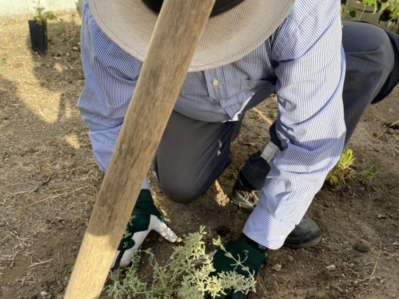βοτανικός κήπος δημοτικού Κιμώλου