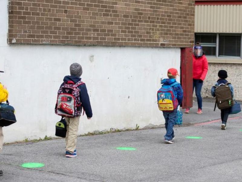 kanadas cxoleia coronoios