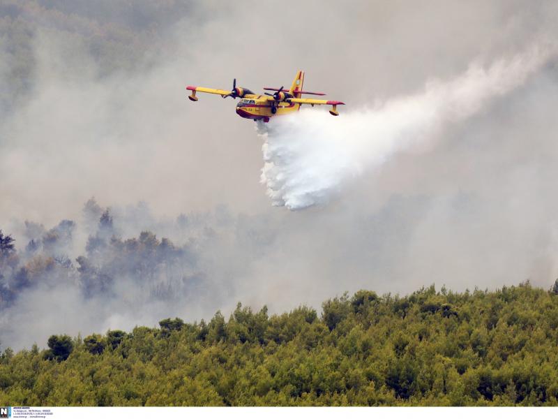 Φωτιά στα Βίλια