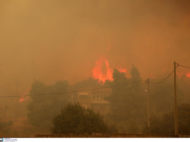 fotia pyrkagia vilia