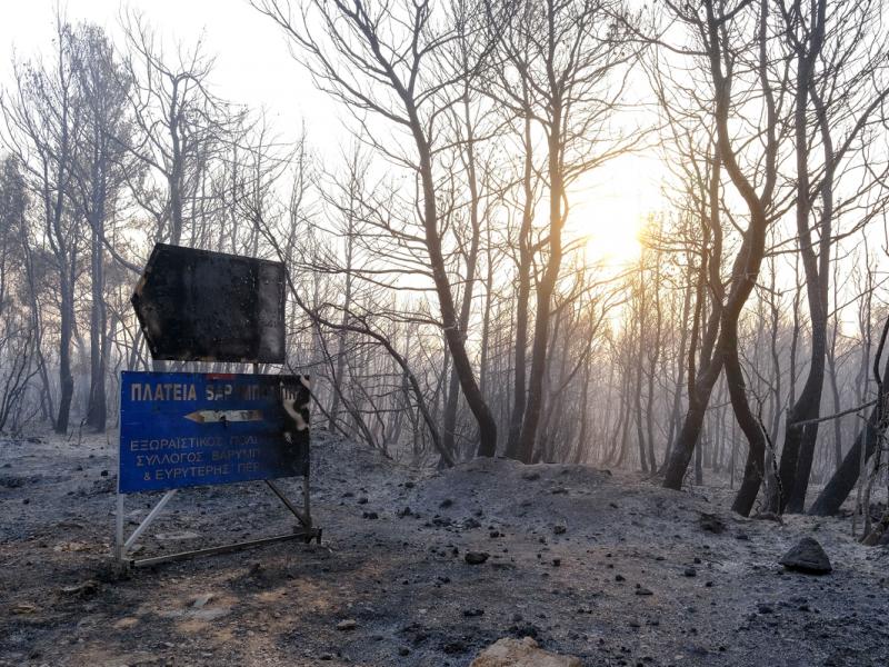 fotia pyrkagia dasos attiki