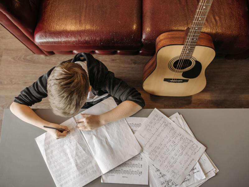 Καθηγητές μουσικής