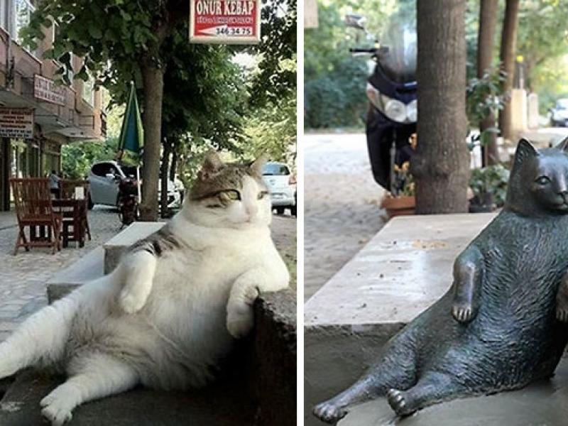 laid-back-cat-statue-tombili-istanbul-8.jpg