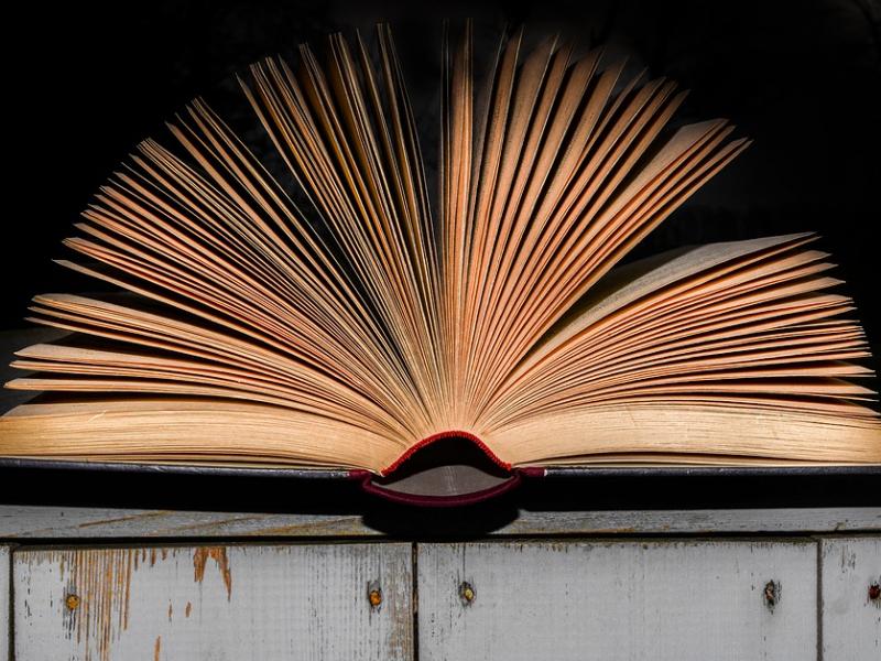 literature-3288098_960_720_0.jpg
