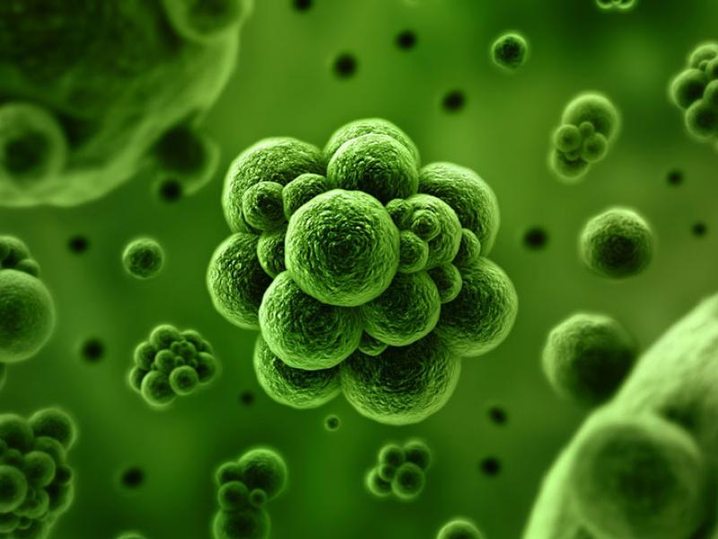 microbes.jpg