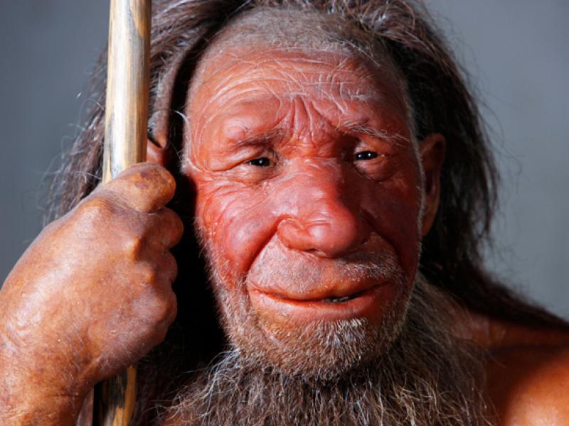 neanderthal_1.jpg