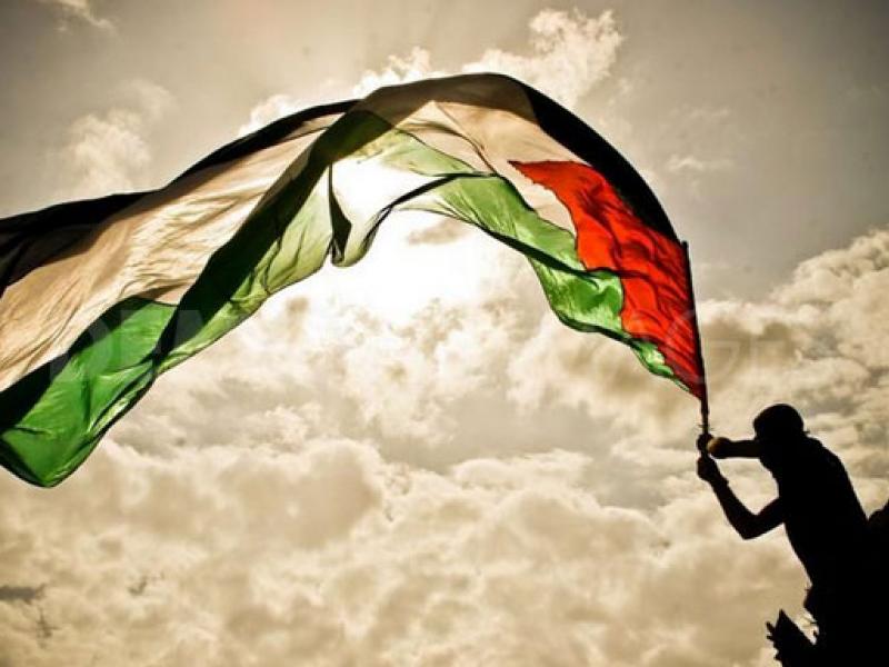 palestine-flag.jpg