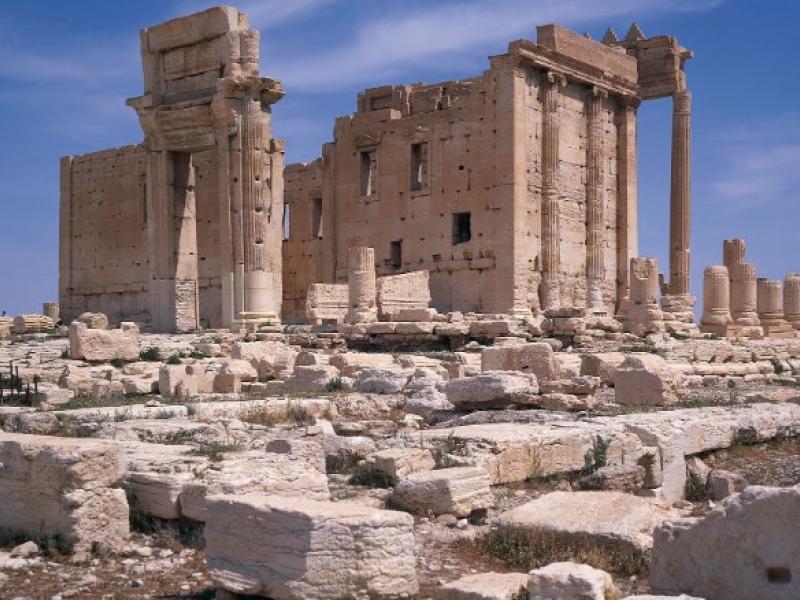 palmyra_2.jpg