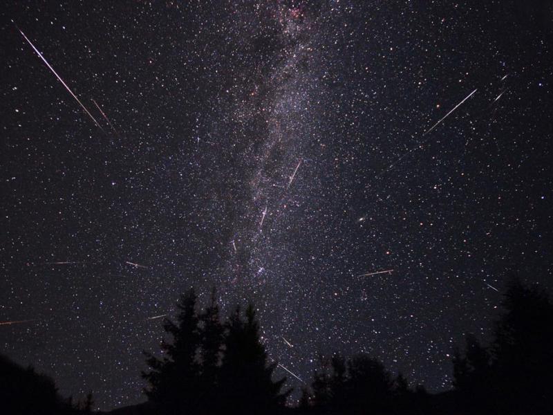 perseids_2010.jpg