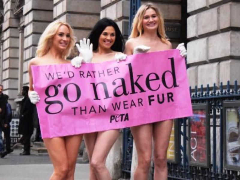 peta-lfw-featured-978x566.jpg
