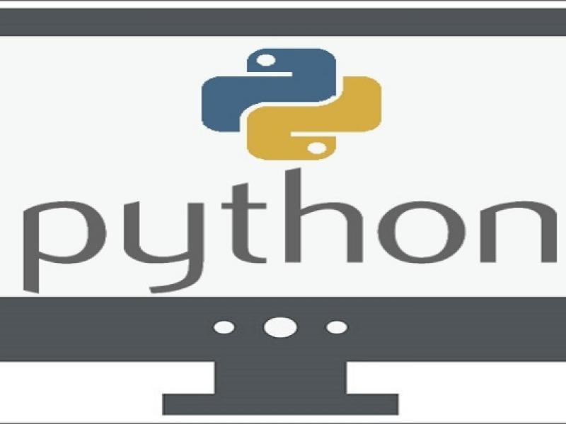 python_alfavita-1.jpg