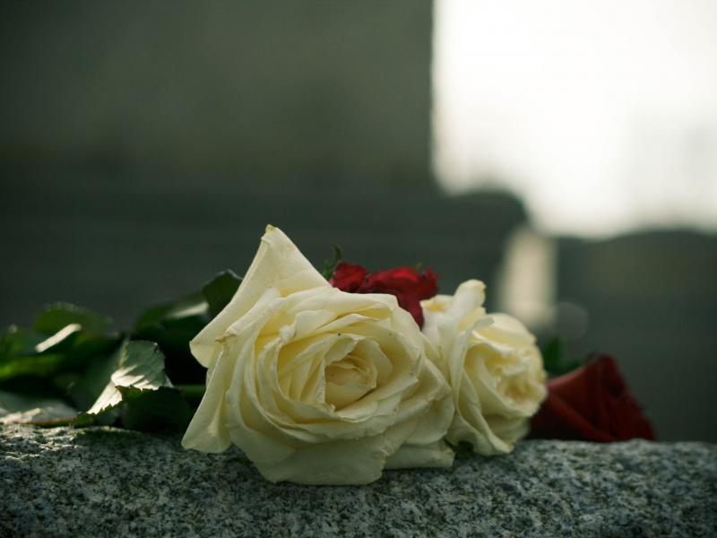 rose-on-grave_2.jpg