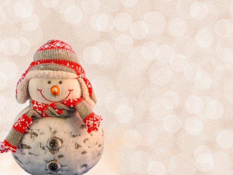 snow-man-3006789_960_720.jpg