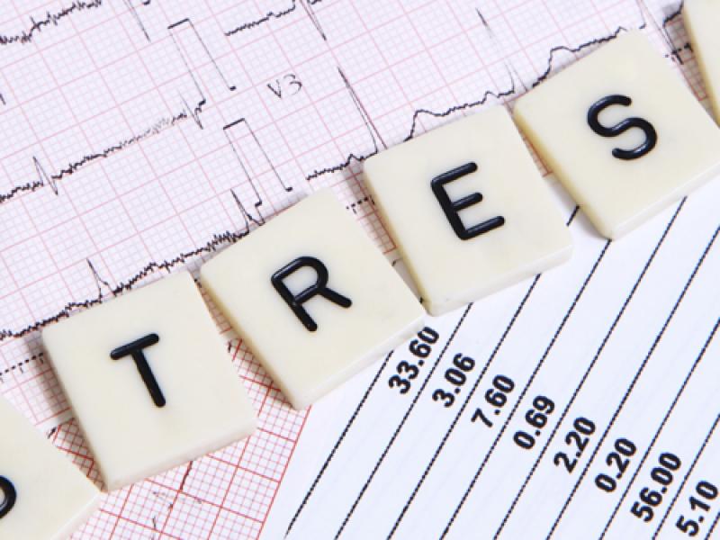 stress_1.jpg